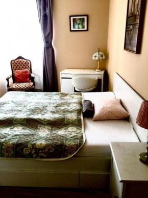 Apartment Vltavska F